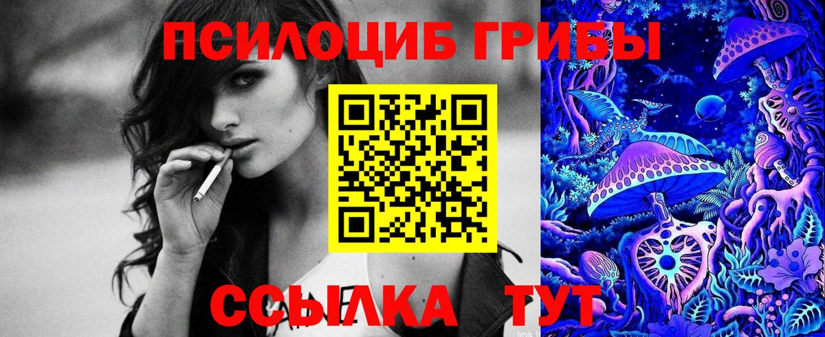Галлюциногенные грибы Psilocybine cubensis  Псилоцибиновые грибы Magic Shrooms  Якутск  купить наркотики сайты  Вход с VPN 